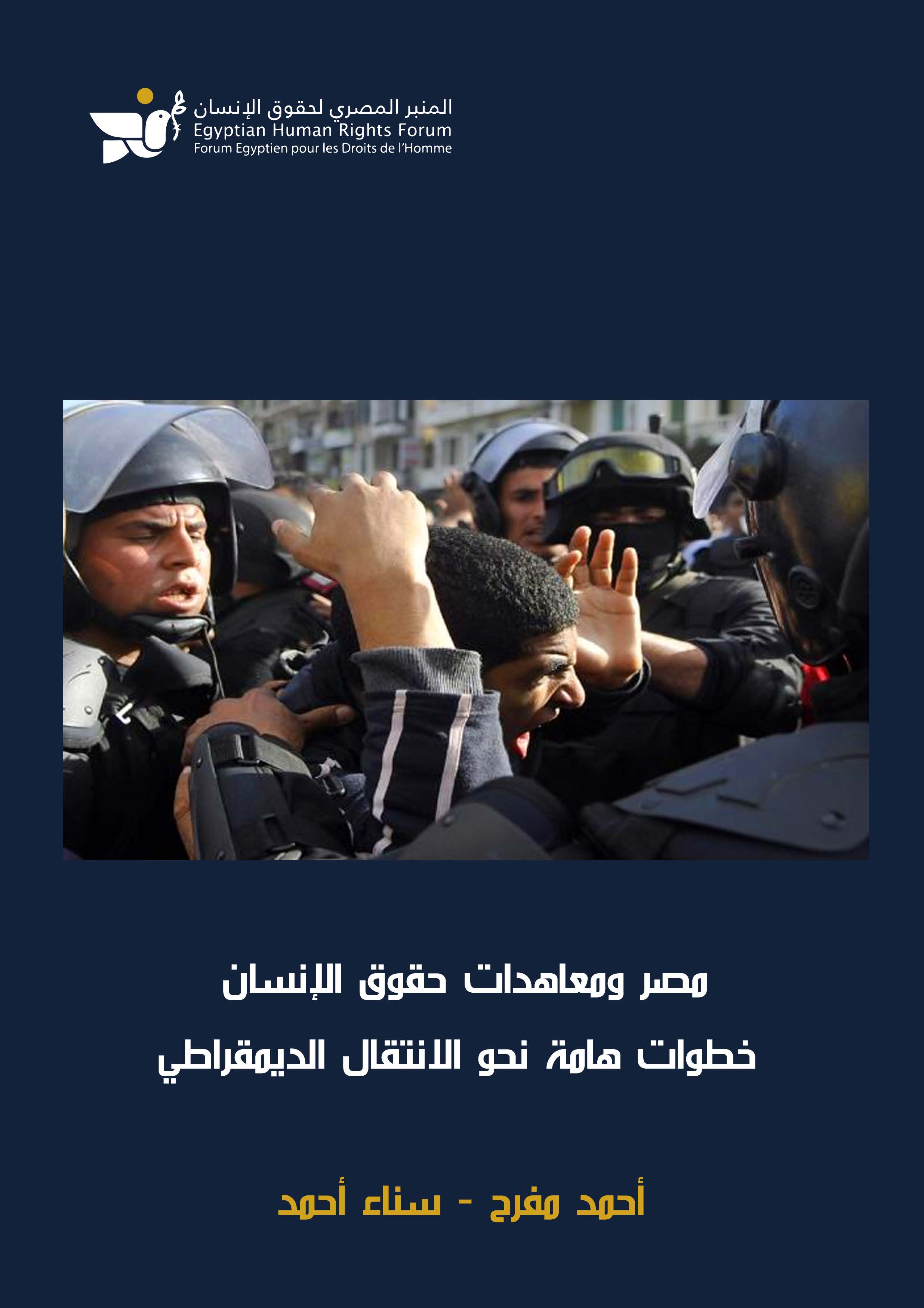 Egypt and Human Rights Treaties: Important Steps Towards Democratic ...